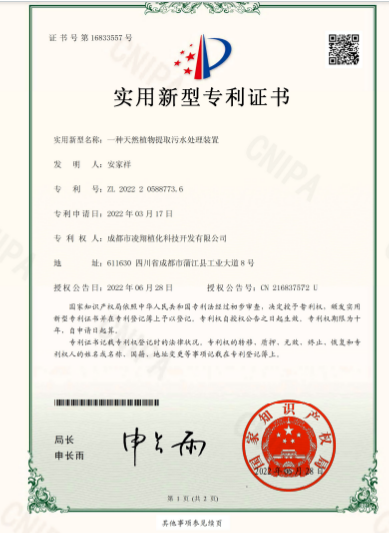 专利