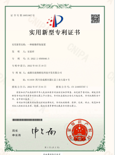 专利