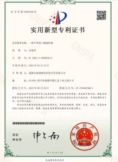 专利