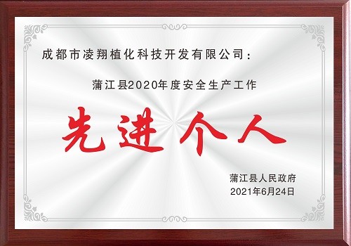 安全先进个人