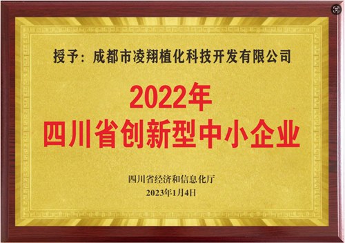 创新型中小企业
