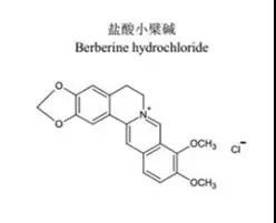 “小檗碱”的前世今生你知道吗？
