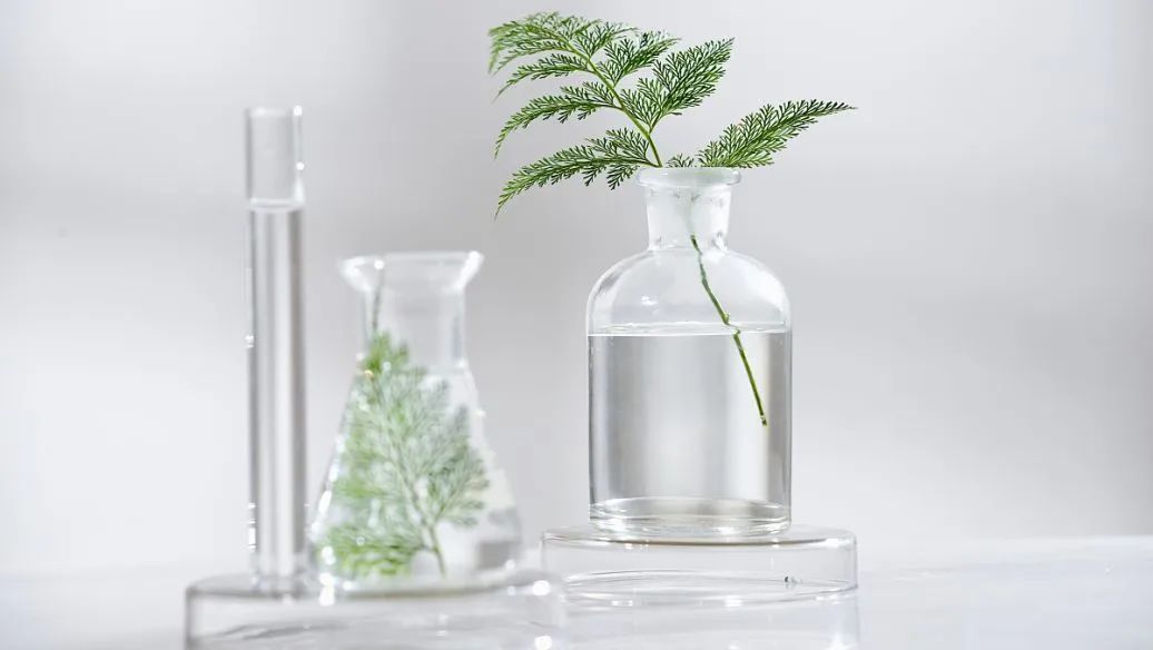 植物提取物在化妆品中的应用前景