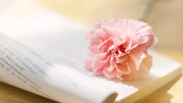 黄连素有望成为减肥新药