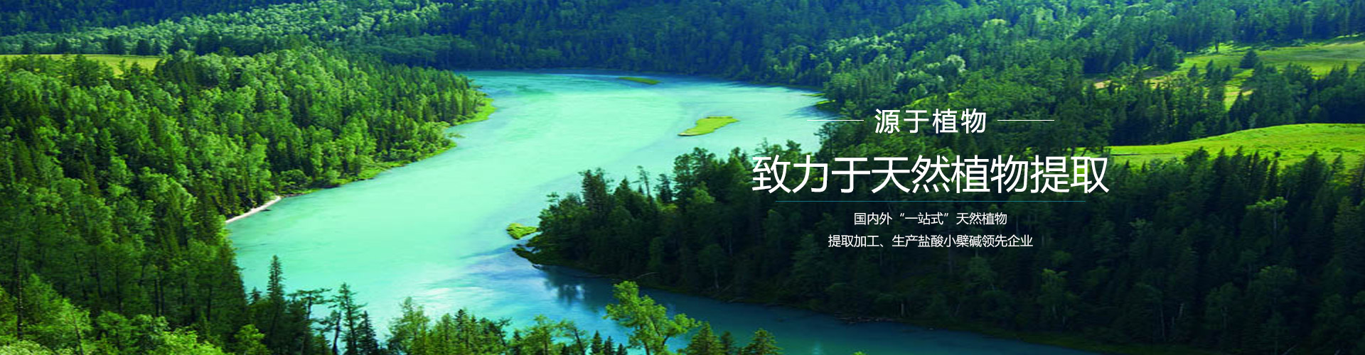 通栏图片